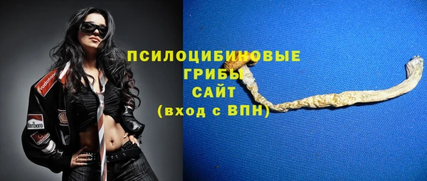 винт Бронницы