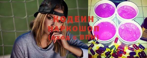 шишки Верхний Тагил